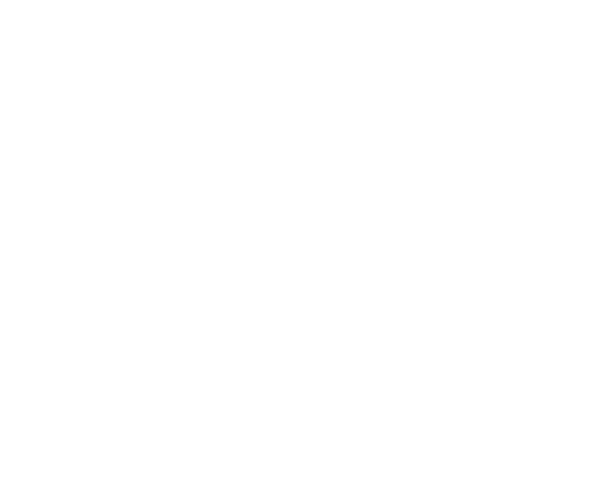 Partners Illustration